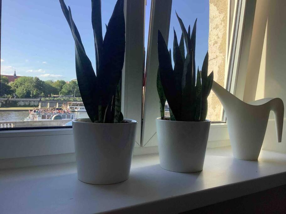 Zachod Slonca Nad Wisla Apartment Krakow Bagian luar foto