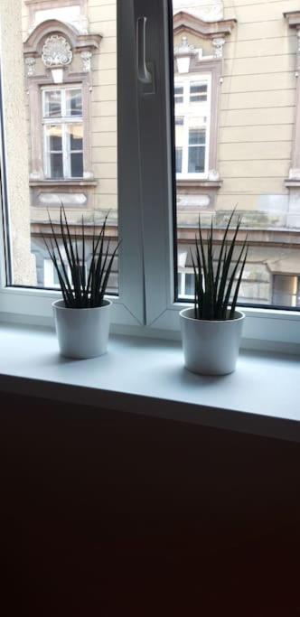 Zachod Slonca Nad Wisla Apartment Krakow Bagian luar foto